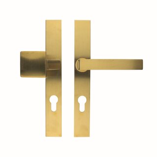 HDD Safety fitting on straight shield - handle and knob - matt gold