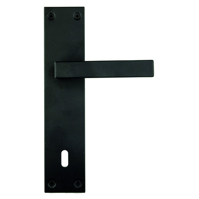 HDD Black door handle COSMIC on straight plate