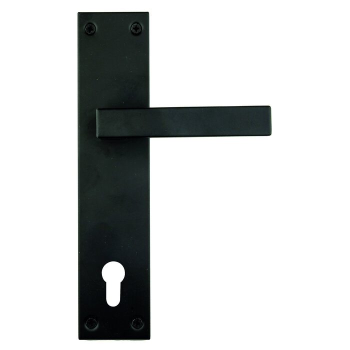 HDD Poignée de porte noire COSMIC sur plaque droite