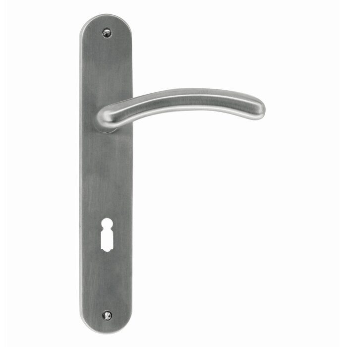 HDD Door handles Angel stainless steel look on oval plate