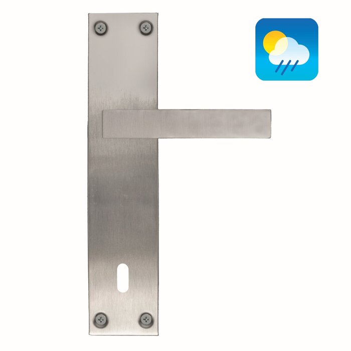 HDD Poignées de porte en acier inoxydable « Cosmic » sur plaque droite