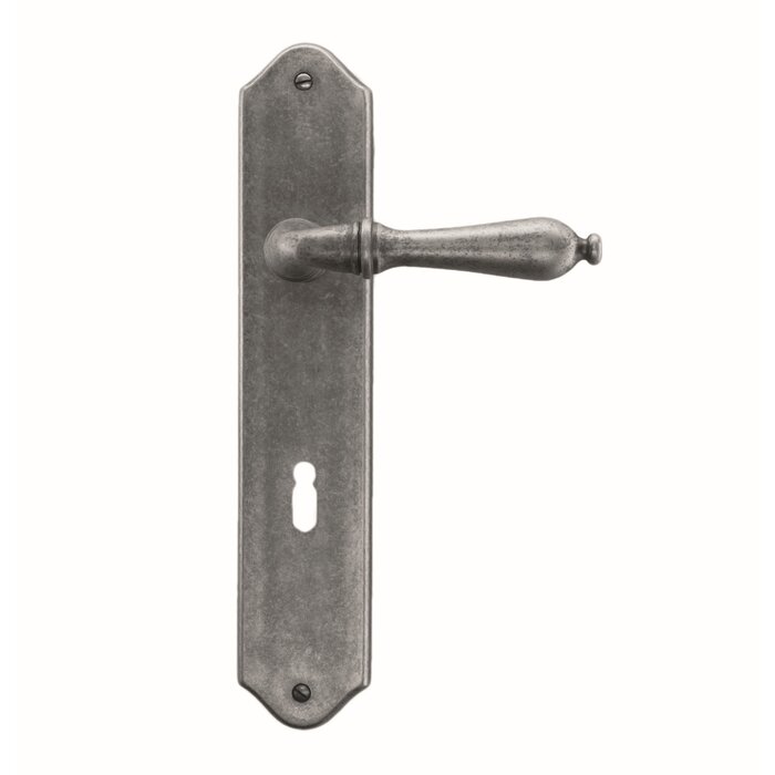 HDD Old silver door handles Lisa on rounded plate