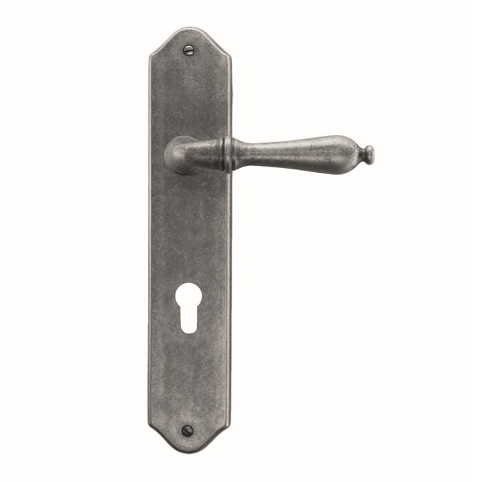 HDD Poignées de porte anciennes en argent Lisa sur plaque arrondie