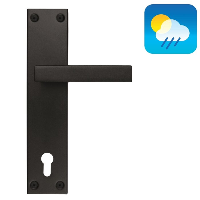 HDD Black door handle COSMIC on plate - with UV structured lacquer