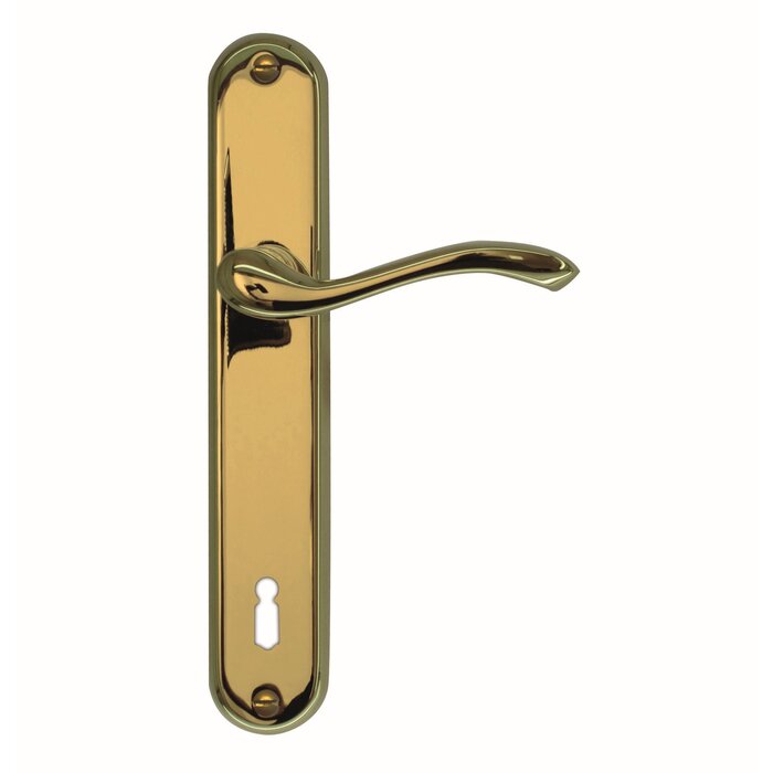 HDD Titanium door handles Erica on plate