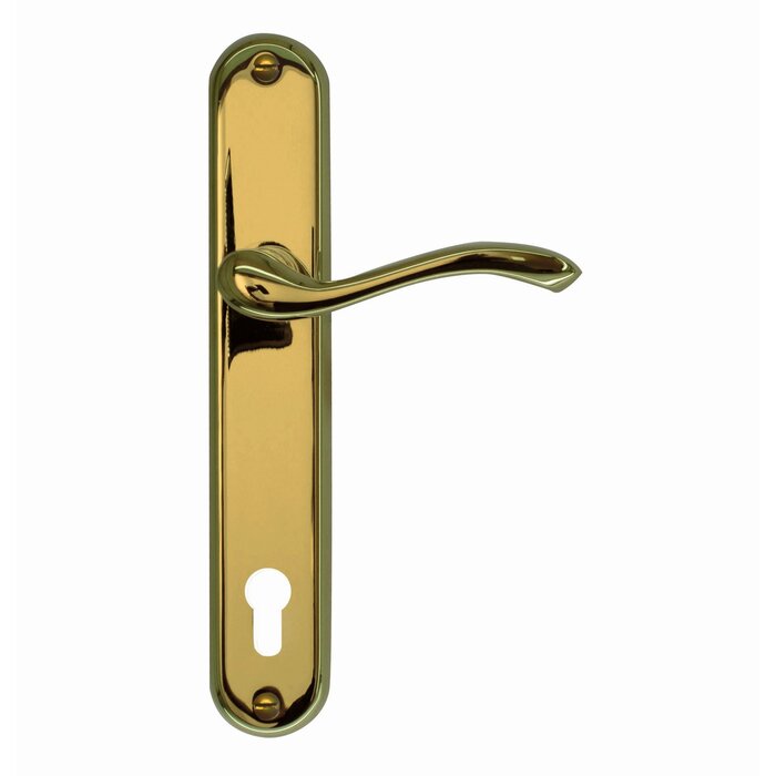 HDD Titanium door handles Erica on plate