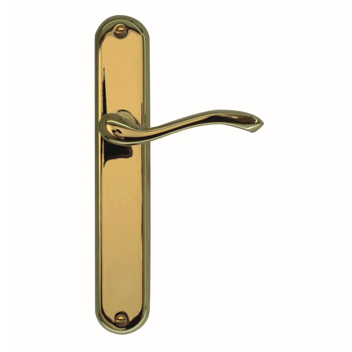 HDD Titanium door handles Erica on plate