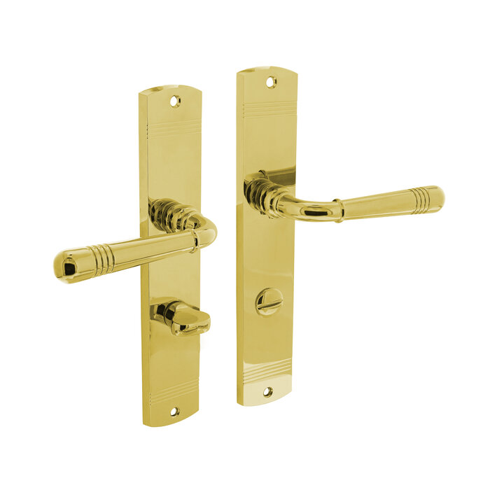 Intersteel Intersteel Door handle Helena on shield brass PVD