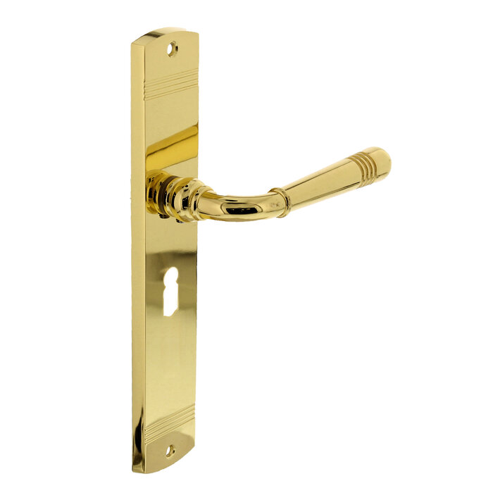 Intersteel Intersteel Door handle Helena on shield brass PVD