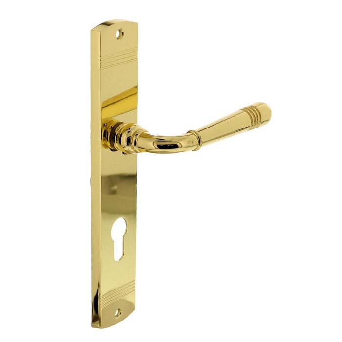 Intersteel Intersteel Door handle Helena on shield brass PVD