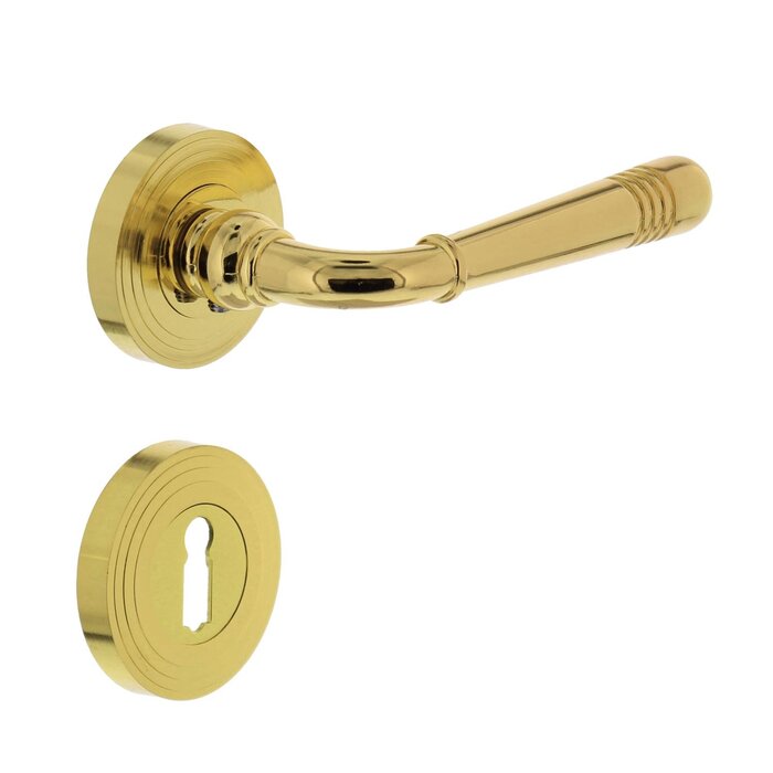 Intersteel Intersteel Door handle Helena on rosette Ø 55x10 mm brass lacquered PVD
