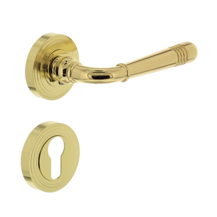 Intersteel Intersteel Door handle Helena on rosette Ø 55x10 mm brass lacquered PVD