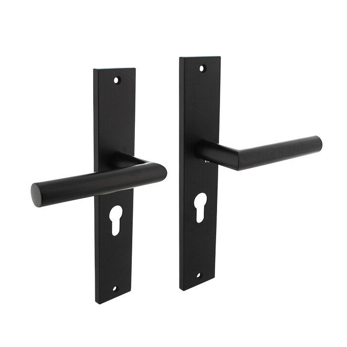 Intersteel Intersteel Door handle Bastian on shield 245x45 mm matt black