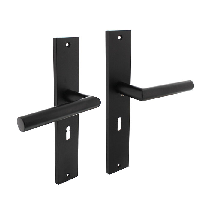 Intersteel Intersteel Poignée de porte Bastian sur bouclier 245x45 mm noir mat