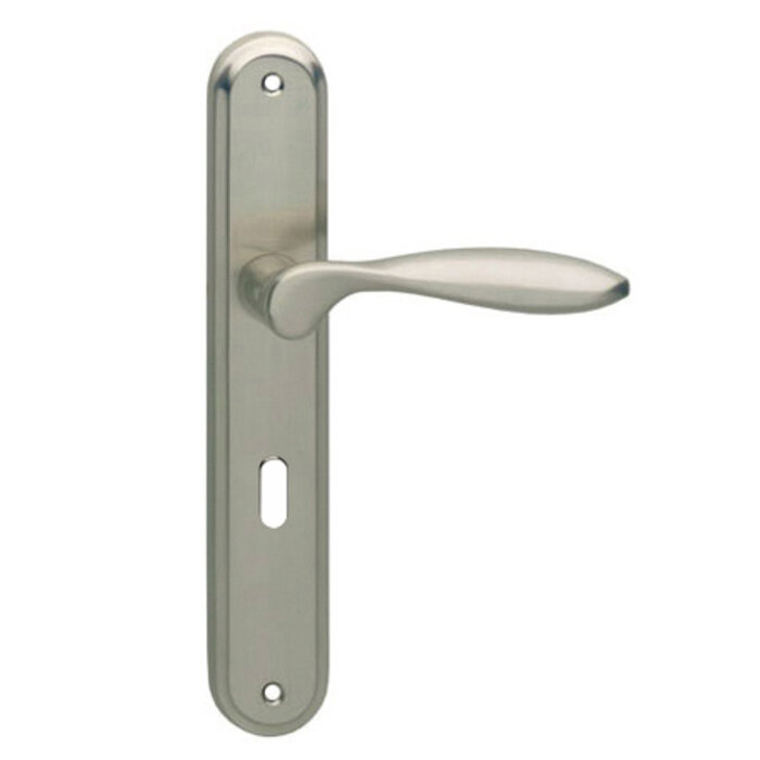 Intersteel Intersteel Door handle George on shield nickel matt