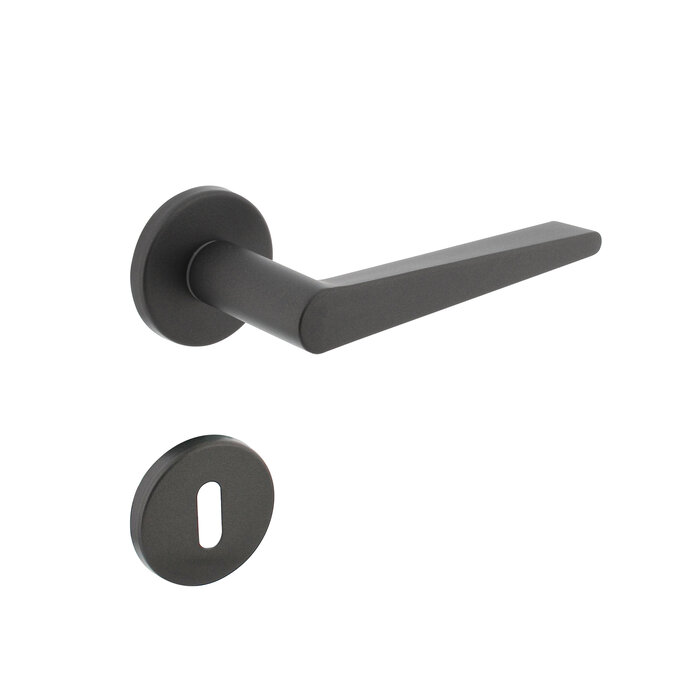 Intersteel Poignée de porte Intersteel TIGA sur rosace ronde gris anthracite