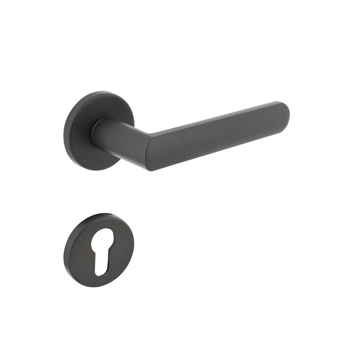 Intersteel Poignée de porte Intersteel SORA sur rosace ronde Ø 49 x7 mm gris anthracite