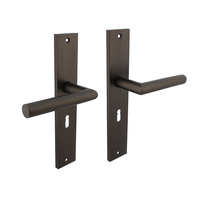 Intersteel Intersteel Poignée de porte Bastian sur bouclier 245x45 mm gris anthracite