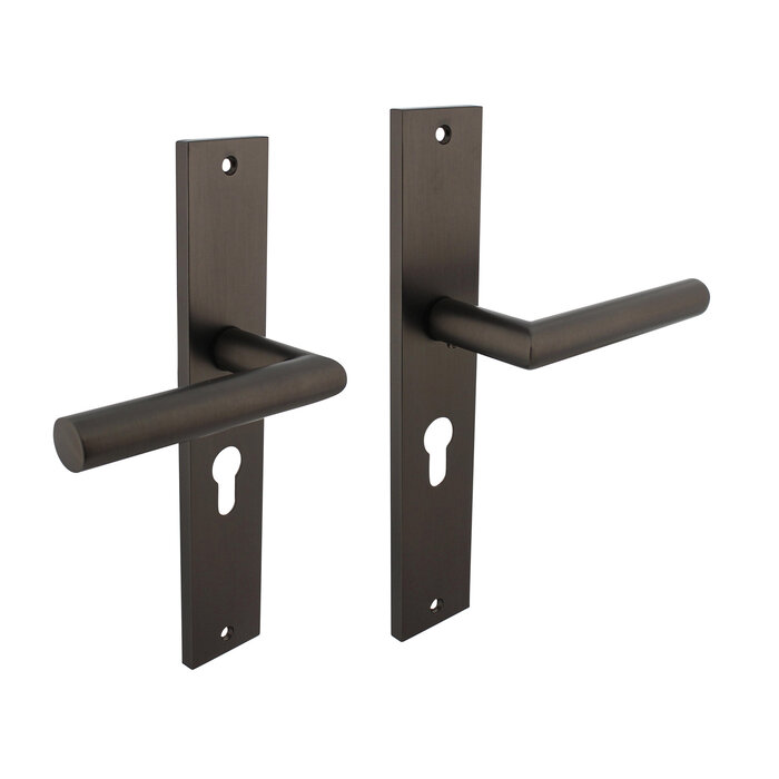 Intersteel Intersteel Türgriff Bastian auf Schild 245x45 mm anthrazitgrau