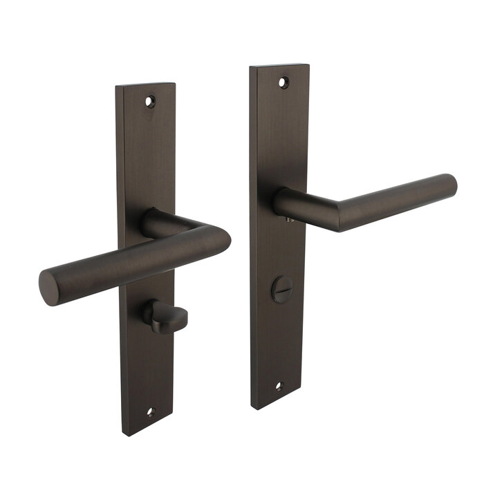 Intersteel Intersteel Poignée de porte Bastian sur bouclier 245x45 mm gris anthracite