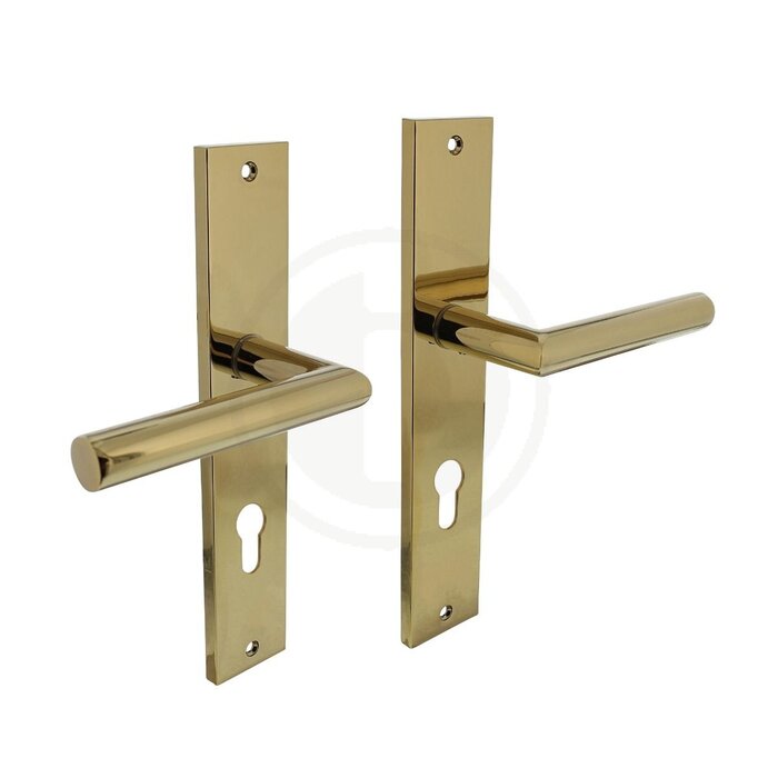 Intersteel Poignée de porte Intersteel Bastian sur bouclier 245x45 mm laiton Titane PVD