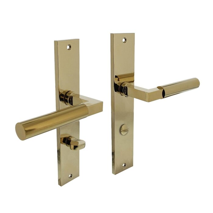 Intersteel Intersteel door handles Bau-Stil on long shield 245x45 mm brass Titanium