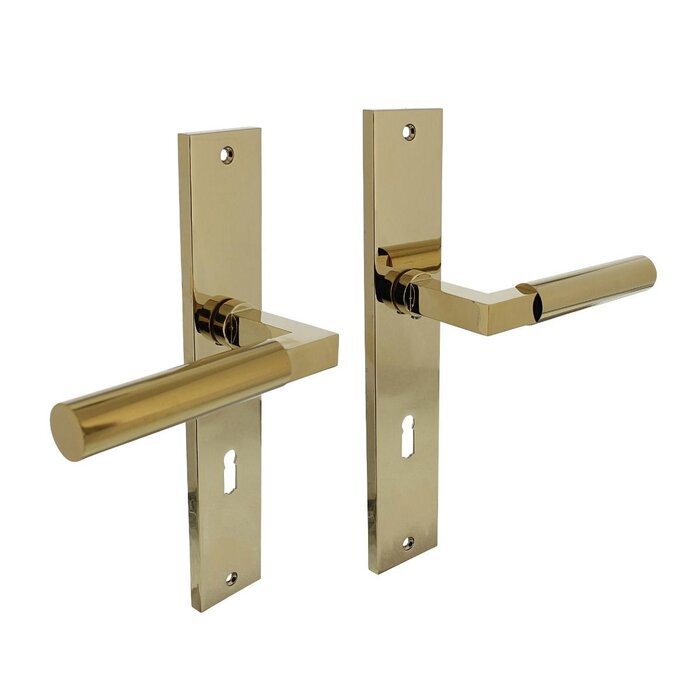 Intersteel Intersteel door handles Bau-Stil on long shield 245x45 mm brass Titanium