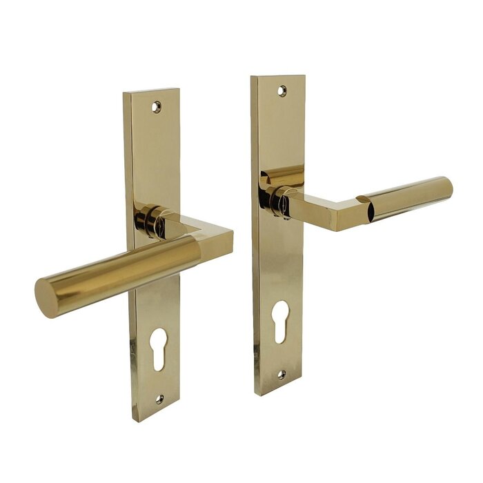 Intersteel Intersteel door handles Bau-Stil on long shield 245x45 mm brass Titanium