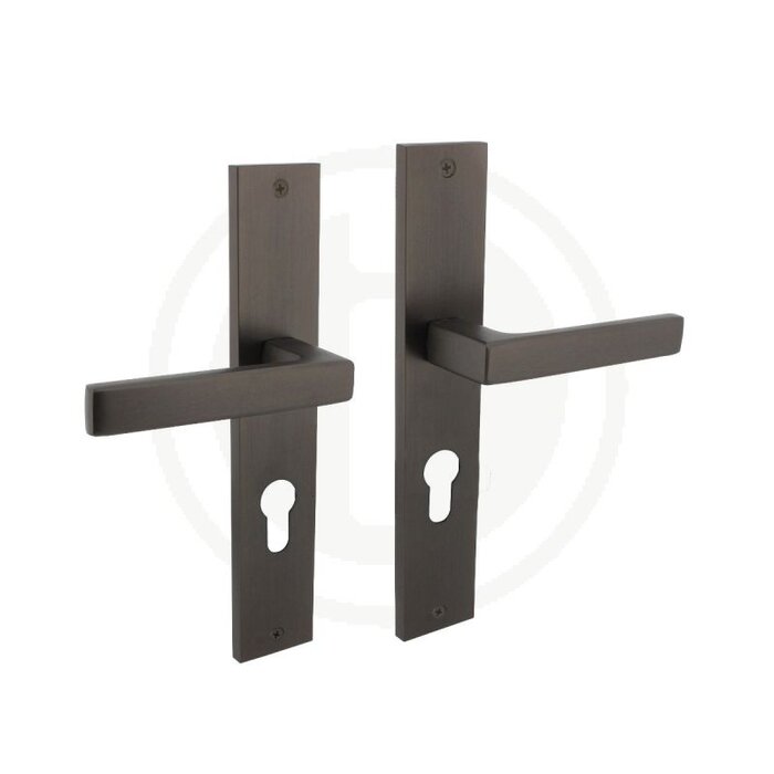 Intersteel Anthrazitgraue Intersteel-Türgriffe „Hera“ auf langem Schild 245 x 45 mm