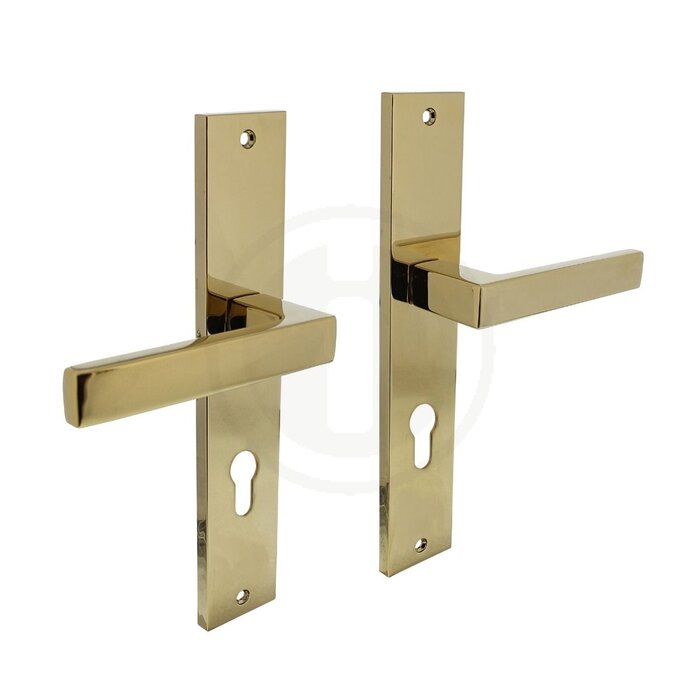 Intersteel Poignées de porte Intersteel Hera sur bouclier long 245 x 45 mm laiton Titane