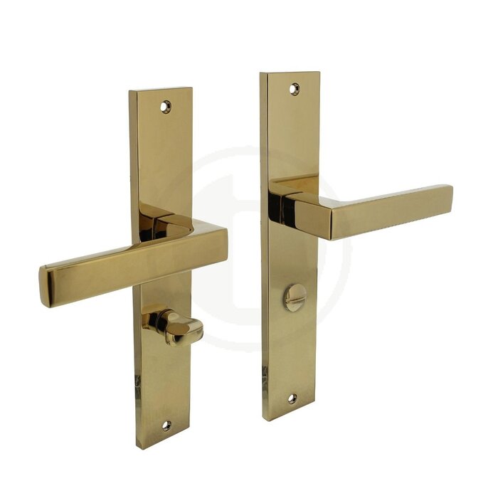 Intersteel Door handles Intersteel Hera on long shield 245 x 45 mm brass Titanium
