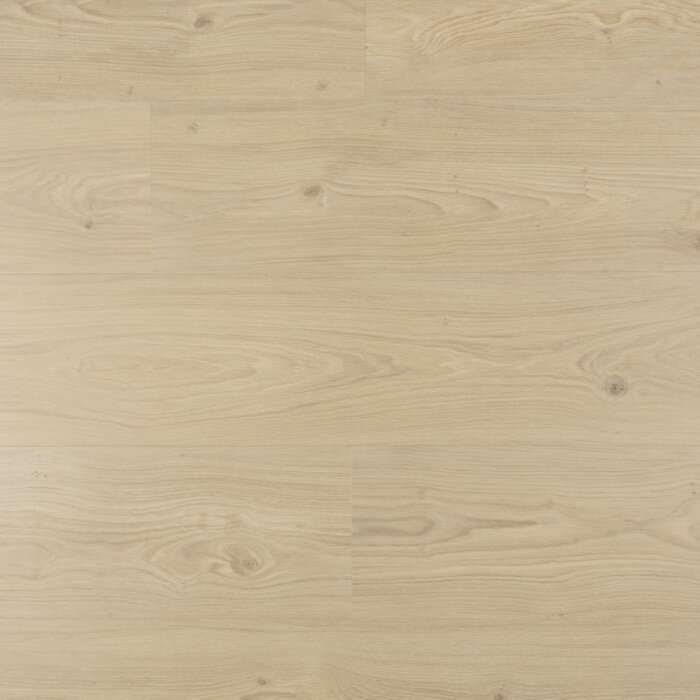 Douwes Dekker PVC Laminaat van Douwes Dekker - Ambitieus riante plank 4mv (7,5 mm | 151 x 22 cm)  - Tiramisu