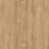 Douwes Dekker Douwes Dekker laminaat - Puur extra lange plank 4V (8 mm | 220,0 x 24,3 cm) - Basilicum