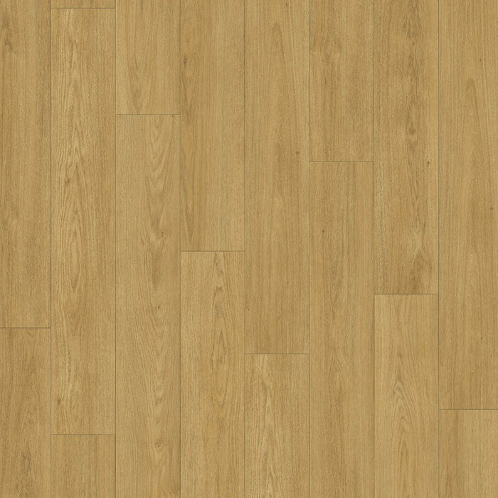 Douwes Dekker Beautiful Laminate from Douwes Dekker - Pure extra long plank 4MV (8 mm | 220.0 x 24.3 cm) - Caviar
