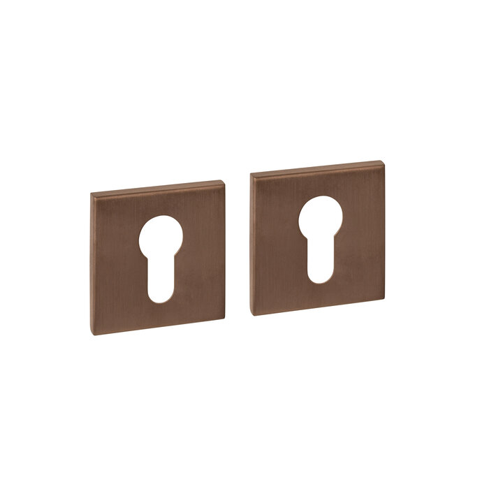 Intersteel Paar Intersteel cilinderplaatjes verdekt 53x53x6mm - Brons PVD