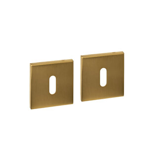 Intersteel Rosaces de clé Intersteel cachées 53x53x6mm - Laiton PVD