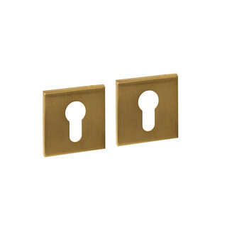 Intersteel Intersteel cilinderrozetten verdekt 53x53x6mm - Messing PVD