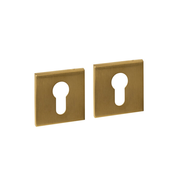 Intersteel Paire de plaques cylindriques Intersteel invisibles 53x53x6mm - Laiton PVD