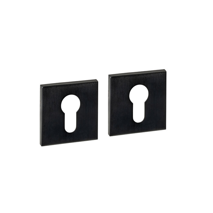 Intersteel Paire de plaques cylindriques Intersteel invisibles 53x53x6mm - PVD Noir