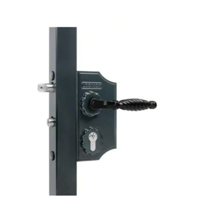 LOCINOX Locinox Serrure de portail ornementale en saillie LAKQ40H2LVSZFA pour profil carré 40-60 mm - grande