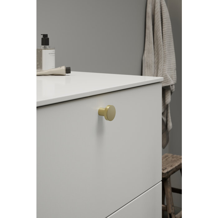 Furnipart Furnipart Möbelknopf DOT Ø 30 mm – Messing gebürstet