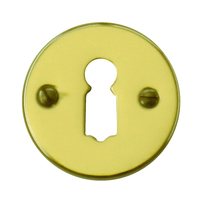 HDD porte-clés Olive cuivre