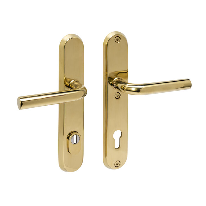 Intersteel Intersteel front door fitting LUZERN handle/handle with core pull protection SKG*** approved - Brass PVD