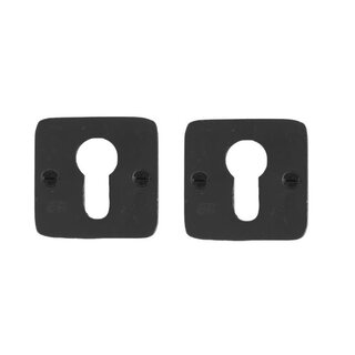 Dauby Paire de plaques cylindriques rosace 50Q fer vieilli-noir (VO)