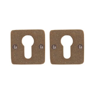 Dauby Paire de plaques cylindriques rosace 50Q bronze brut (RB)