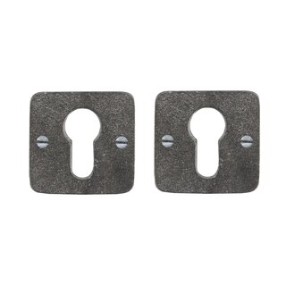 Dauby Pair of cylinder plates rosette 50Q raw metal (RM)