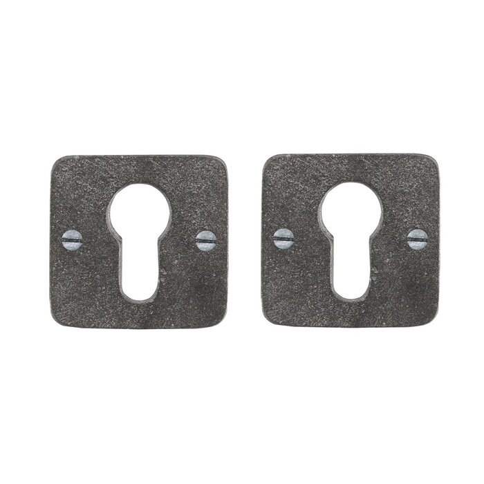 Dauby Paire de plaques cylindriques de rosace Dauby 50Q en métal brut (RM)