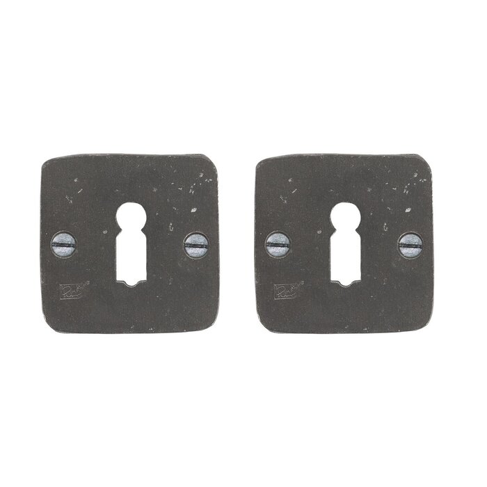 Dauby Pair of Dauby rosette 50Q raw metal (RM) key plates