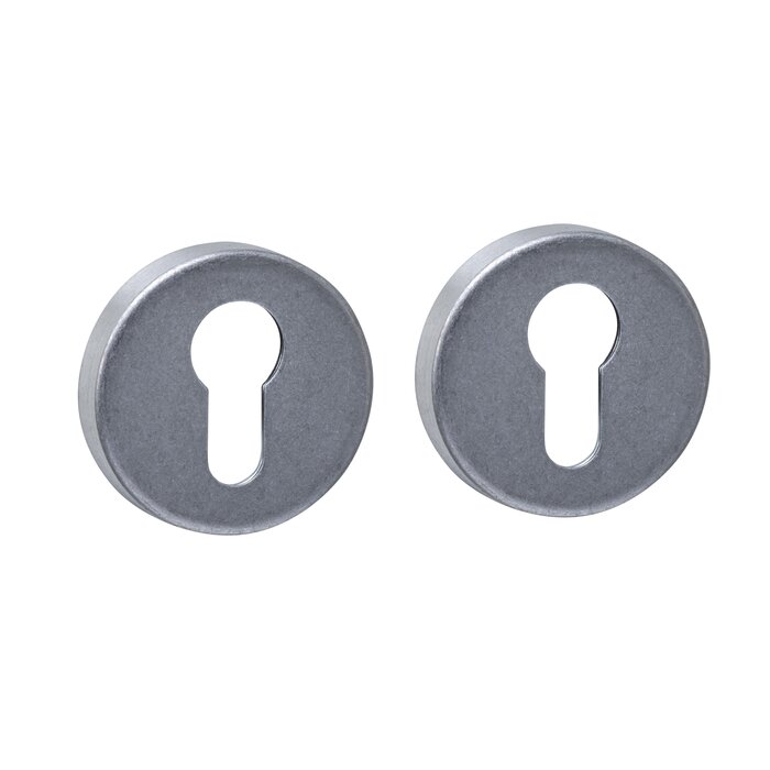 Intersteel Paar Intersteel cilinderplaatjes verdekt Ø 53x9mm - RVS getrommeld