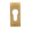 Dauby Piece of safety rosette brushed brass (OS)